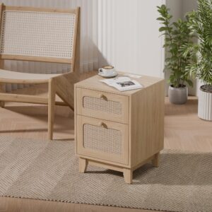 Modern Rattan Nightstand Set of 2, Wicker Rattan Stand with Drawer and Charge Station, Wooden Bedside Table for Small Spaces, Natural Wood Side Table for Bedroom (with Charging Station, 2)