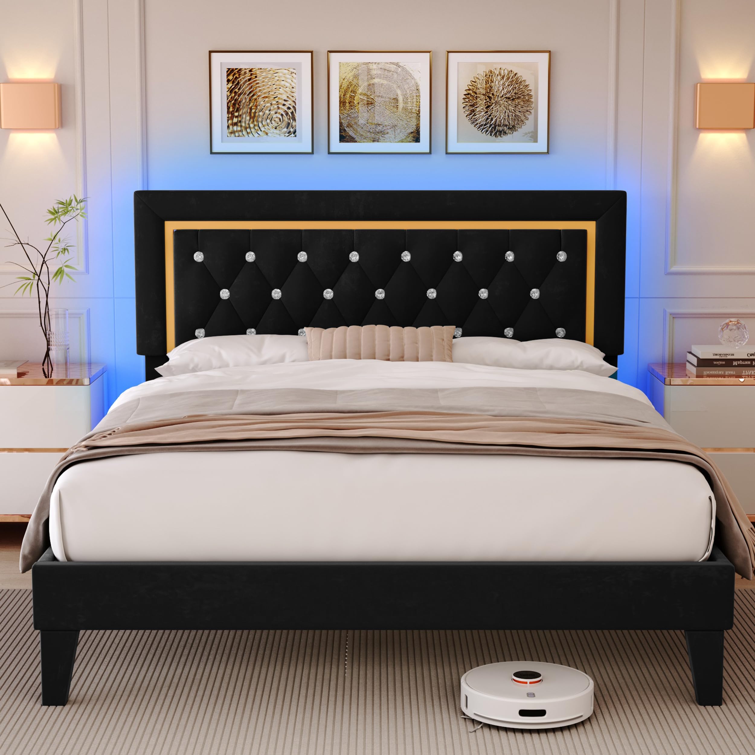 Fastroby Black Queen Size Bed Frame with LED Light, Adjustable Headboard Tufted, Velvet Upholstered Platform Bed Frame No Box Spring Needed, Easy Assembly