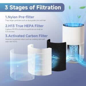 FCFMY 2 Packs H7126 Replacement Filter Compatible with GoveeLife H7126 Mini Air Cleaner Purifier, 2pcs H13 True HEPA Filters and 6 pcs Aroma Pads Accessories