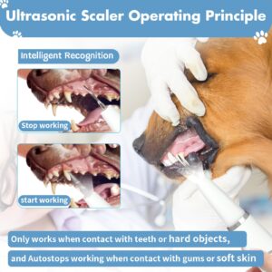 Plaque Remover for Teeth: Dog Teeth Cleaning Kit for Tartar Stains Removal Electric Pet Ultrasonic Tooth Cleaner with LED Light Finger Toothbrush Dental Care for Dog Cat 5 Modes (White)