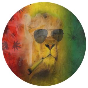 Rasta Lion Judah with Sunglasses Smoking Jamaican Reggae Ultra Soft Non-Slip Area Rugs Indoor Coral Velvet Floor Mat Short Flannel Carpet for Living Room Bedroom Dining Room