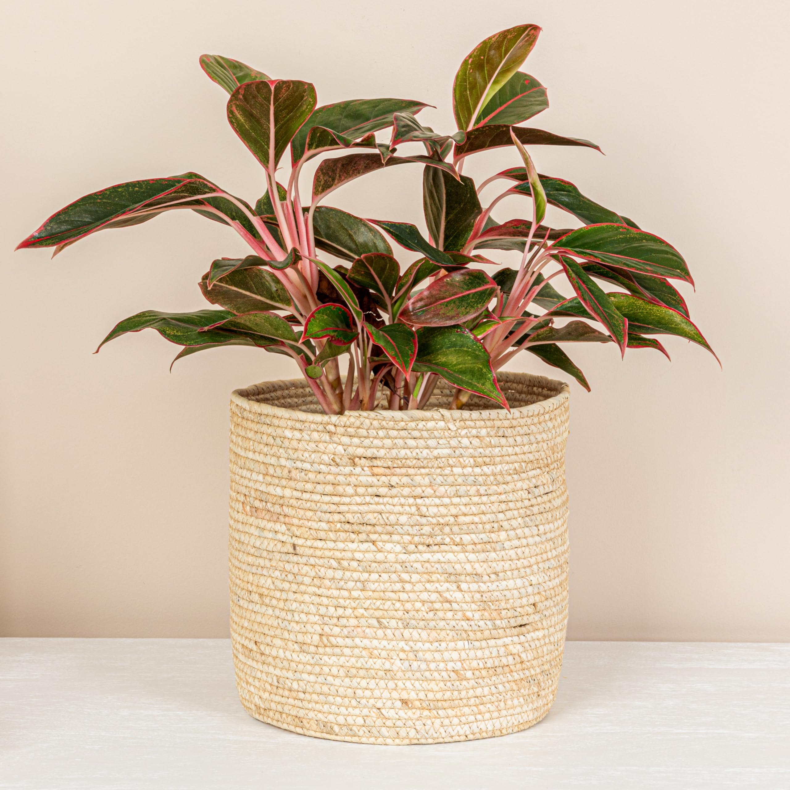 Household Essentials Round Handwoven Corn Leaf Basket, Natural