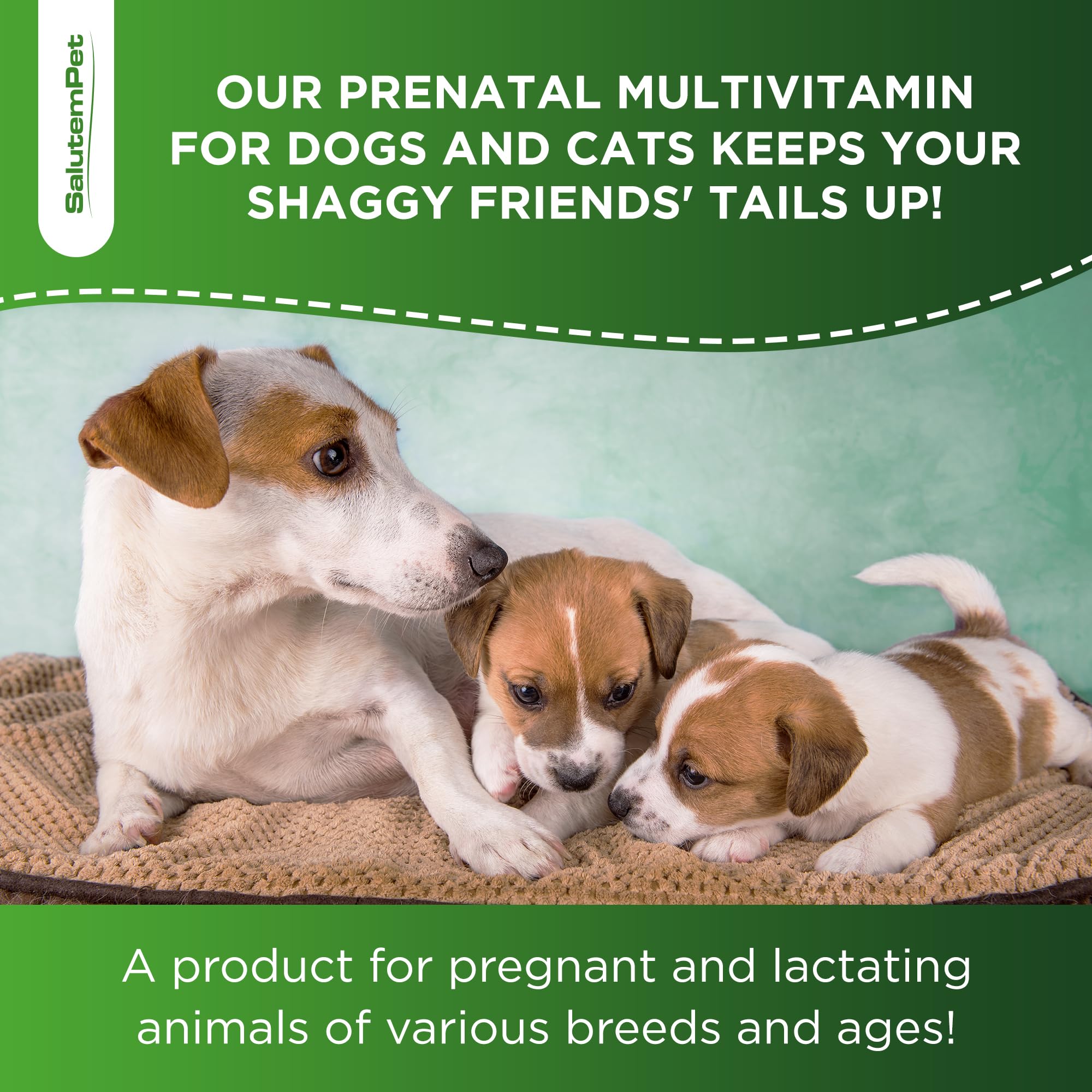 Dog Prenatal Vitamins | Pregnant Cat Supplies | Prenatal Vitamins for Dogs | Product for Pregnant Cat | Prenatal Dog Vitamins | Vitamins for Pregnant Dogs and Cats | Pregnant Dog Supplies | 2 oz