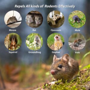 Homsor Rodent Repellent 20 Pack Natural Peppermint Oil Mouse Repellent Balls Pet Safe Mice Deterrent to Keep Rat Mice Mouse Rodent Out of Indoor House Outdoor Car Engines RV Garage Chicken Coop