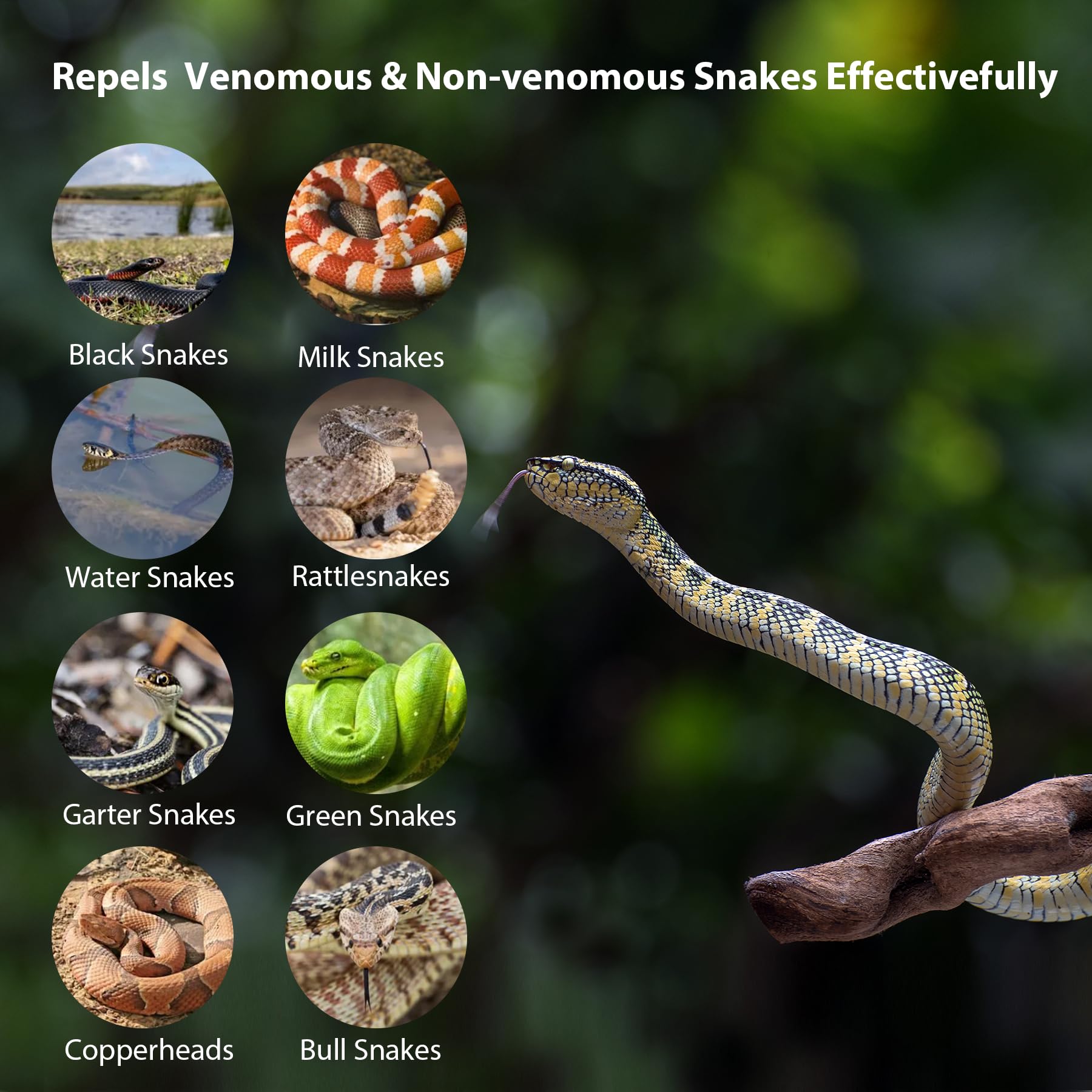 Homsor Snake Repellent Pet Safe 10 Pack Powerful Snake Away Repellent for Outdoors Indoor Yard House Camping Lawn Natural Snake Be Gone Balls to Keep Snakes Away from Your Family