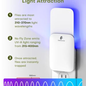 Kiwinurse Fruit Fly Traps for Indoors (2 Traps + 8 Glue Cards), Gnat Traps for House Indoor, Fly Traps Indoor for Home with Flying Insect Trap Refills