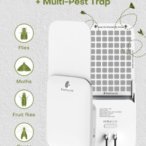 Kiwinurse Fruit Fly Traps for Indoors (2 Traps + 8 Glue Cards), Gnat Traps for House Indoor, Fly Traps Indoor for Home with Flying Insect Trap Refills