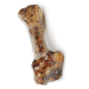 MPP All Natural Buffalo Shoulder 12 Inch Big Dog Bones Meaty Dental Chew Health (1 Bone)