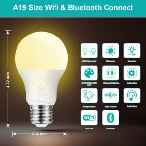 ShowyLive Smart Light Bulb 4 PK, WiFi & Bluetooth 5.0 Smart Bulbs That Work with Alexa & Google Assistant, A19 RGB, Music Sync, 9W 850LM CRI>80