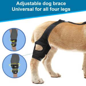 vurfoo Dog Knee Brace for Torn ACL Hind Leg, Dog ACL Brace Hind Leg Hip Rear Legs Support Brace, Adjustable Dog Brace for ACL Tear Back Leg for Luxating Patella (Small)