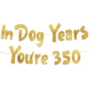 in dog years you're 350 hilarious adult birthday gold glitter banner - funny birthday party supplies, ideas, gifts and decorations - 50th - 55th - 60th - 65th - 70th - 75th