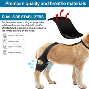 vurfoo Dog Knee Brace for Torn ACL Hind Leg, Dog ACL Brace Hind Leg Hip Rear Legs Support Brace, Adjustable Dog Brace for ACL Tear Back Leg for Luxating Patella (Small)