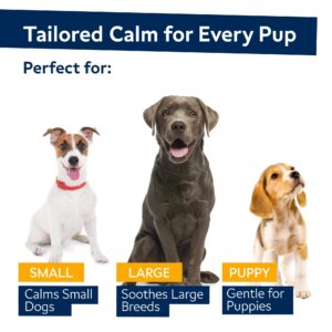 Hemp Calming Chews for Dogs - Dog Calming Treats - Anxiety Relief Treats - Dog Calming Chews - Stress - Sleep Calming Aid - Health & Wellness Supplements for Dog Separation Barking - 180 Treats