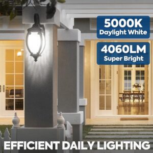 Nouscan 300W Equivalent LED Light Bulb, 4060LM Super Bright A23 LED Bulb, Daylight 5000K, 33W Energy Saving, E26 Medium Base, 120V for Garage, Warehouse, Shop, Supermarket, Non-Dimmable, 2 Pack