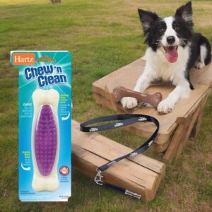 moofin Chew N Bacon-Scented Large Dog Chew Toy, 4 Ounces, Bundle with Bonus Ss Pet Training Whistle - Nylon Bones for Dental Health, Interactive Play, Safe & Non-Toxic, [Pack of 3]