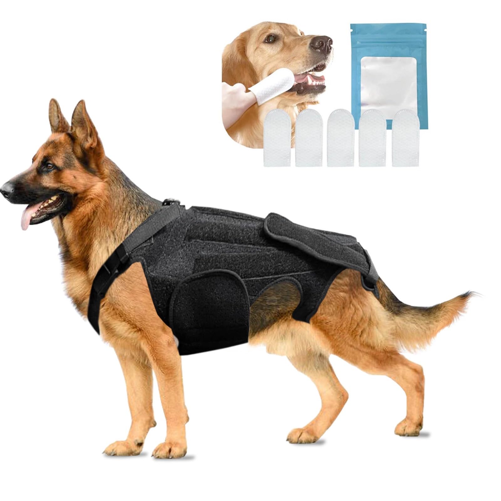 CATUPUNIS Dog Back Brace for Slipped Disc and Dog Arthritis Support, IVDD Dog Supplies, Dachshund Back Support, Back Brace for Dogs with Back Disease and IVDD [Includes 5 Dog Teeth Cleaning Wipes] (M)