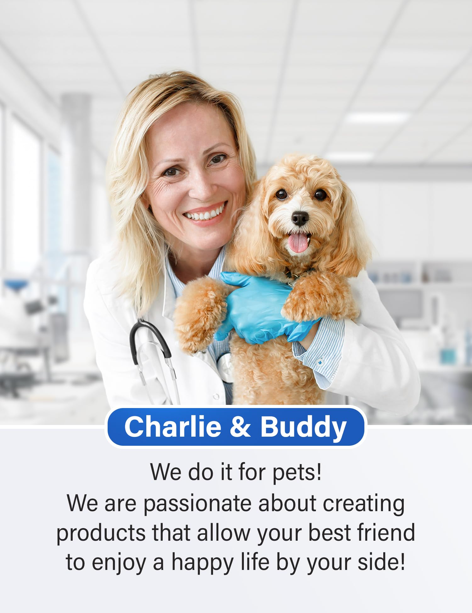 Charlie & Buddy Calming Chews for Dogs, Dog Anxiety Relief, Promote Relaxation, Dog Calming Chews with Melatonin for Dogs, Chamomile, Magnesium Citrate, 90 Soft Chews, Chicken Flavor