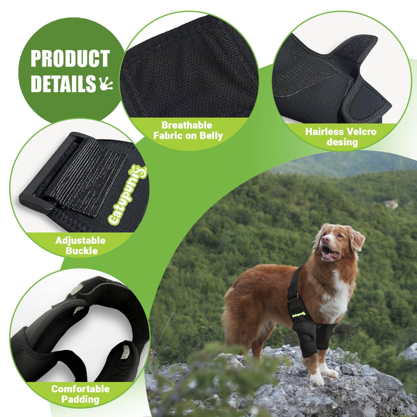 CATUPUNIS Dog Elbow Protector + [5 Dog Teeth Cleaning Wipes] Dog Shoulder Brace. Hygroma Elbow Pads for Dogs. Dog Elbow Brace Front Leg Brace for Dogs. Dog Elbow Pads. Dog Leg Brace Front