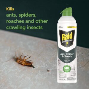 Raid Essentials Ant Spider, and Roach Killer Aerosol Spray, Child & Pet Safe, Kills Insects Quickly, 10 Ounce