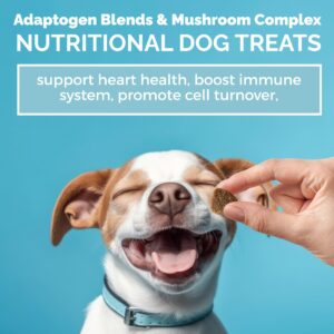 MEDii Pet Mushrooms for Dogs. 7 Types of Dog Mushrooms: Immunity, GI Health, Joints. Metabolism Booster. Can Improve Dog Health Holisitically - 125 Mini Hearts. Natural nutrients for All Dogs.