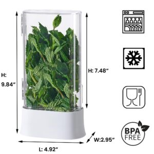 vacane Herb Keeper for Refrigerator, Fresh Herb Saver Herb Storage Containers, Cilantro Container for Fridge Asparagus Container, Dishwasher Safe