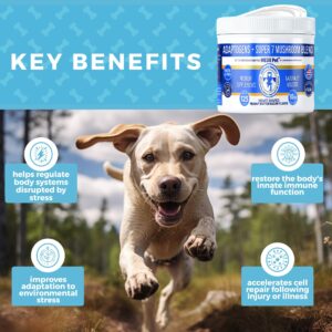 MEDii Pet Mushrooms for Dogs. 7 Types of Dog Mushrooms: Immunity, GI Health, Joints. Metabolism Booster. Can Improve Dog Health Holisitically - 125 Mini Hearts. Natural nutrients for All Dogs.