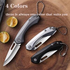 FEIZII Foldable Pocket Knife Camping Blade With a Length of 2.4 Inches and 4 Colors (Black, Silver, Gray, Rainbow), The Best Gift Choice (12)