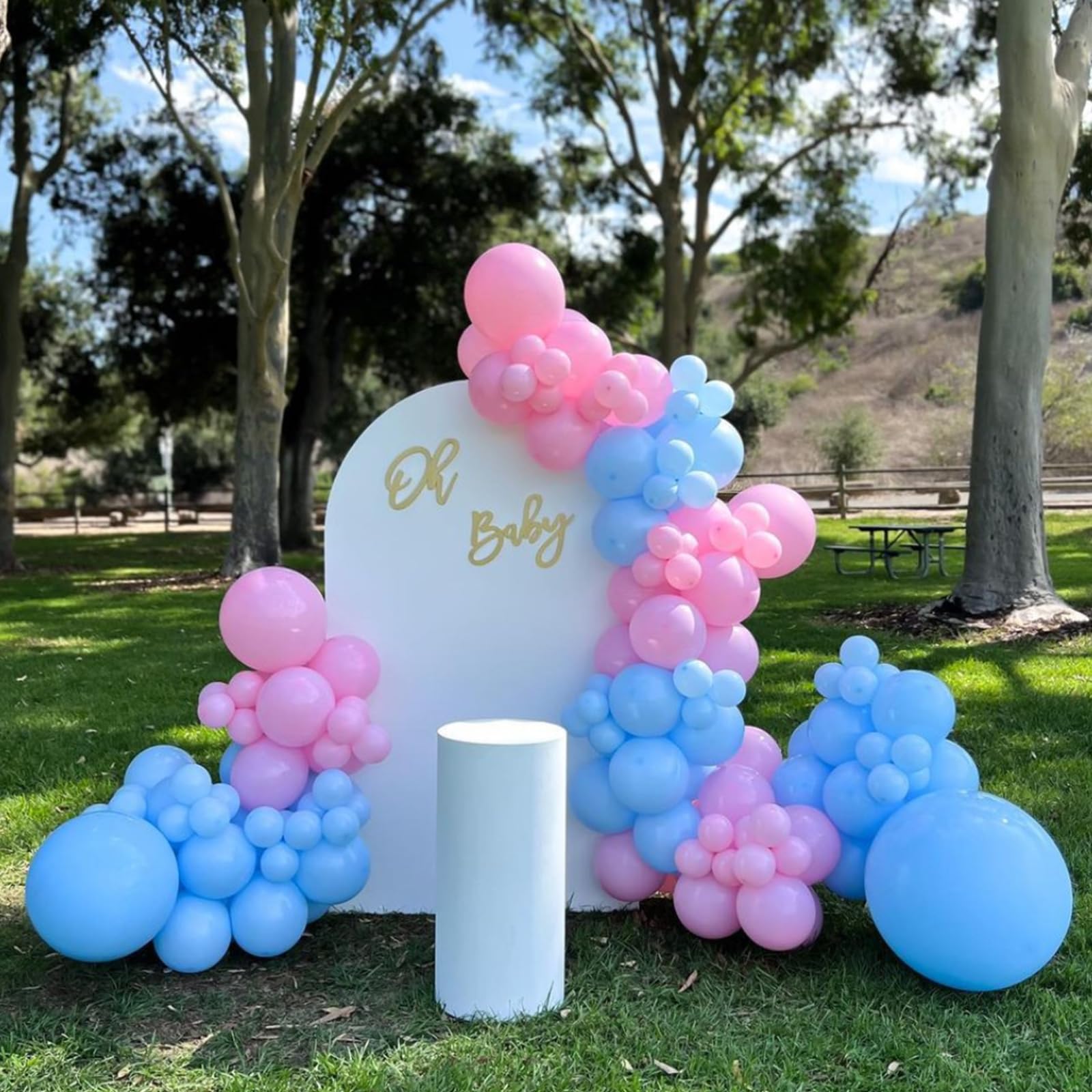 Pink and Blue Balloons Garland Arch Kit, 134pcs Gender Reveal Balloon Garland Arch Kit for Boy or Girl Gender Reveal Decorations Birthday Party Baby Shower Decorations