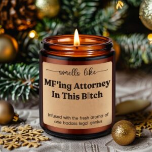 Fairy's Gift Candle, Lawyer Gifts for Women Men, Attorney Gifts - Law School Essentials, Bar Exam, Christmas, Lawyer Graduation Gifts, Law Student Gifts, Funny Gifts for Lawyers, Future Lawyer