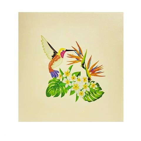 ETA 3D Floral Hummingbird Pop Up Card, Birthday Card, Thank You Card, Mother's Day Card, Nature Card, Congratulate with 3D Bird, Laser Cut, Handmade in Vietnam, 5.9 in x 5.9 in