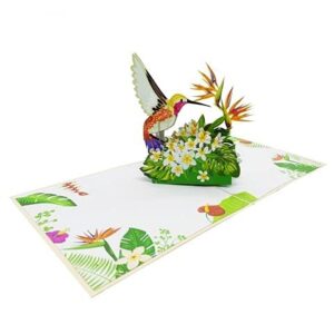 ETA 3D Floral Hummingbird Pop Up Card, Birthday Card, Thank You Card, Mother's Day Card, Nature Card, Congratulate with 3D Bird, Laser Cut, Handmade in Vietnam, 5.9 in x 5.9 in