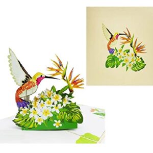 ETA 3D Floral Hummingbird Pop Up Card, Birthday Card, Thank You Card, Mother's Day Card, Nature Card, Congratulate with 3D Bird, Laser Cut, Handmade in Vietnam, 5.9 in x 5.9 in