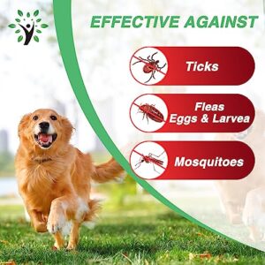 Natouch Flea and Tick Wipes for Dogs & Cats, Dog Flea and TIick Treatment Prevention Wipes, All Natural Grooming Wipes for Cleaning, Help with Ticks, Fleas, Eggs & Larvea, 160 Count