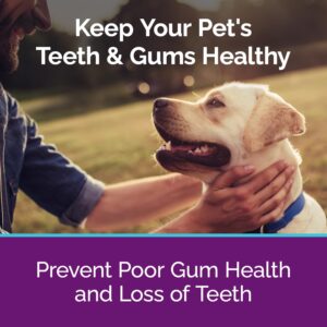 Recommended by Veterinarians Because it Simply Works Better. ioVet Oral Pet Water additive effortlessly Helps Your pet to The Clean, Healthy Mouth & Dazzling Fresh Breath You've Always Hoped for.