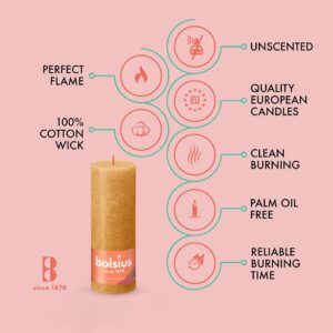 BOLSIUS 4 Pack Yellow Rustic Pillar Candles - 2.75 X 7.5 Inches - Premium European Quality - Includes Natural Plant-Based Wax - Unscented Dripless Smokeless 85 Hour Party Décor and Wedding Candles