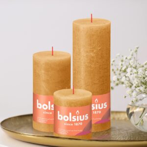 BOLSIUS 4 Pack Yellow Rustic Pillar Candles - 2.75 X 7.5 Inches - Premium European Quality - Includes Natural Plant-Based Wax - Unscented Dripless Smokeless 85 Hour Party Décor and Wedding Candles