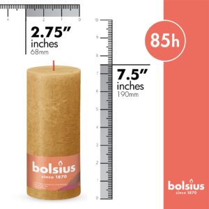 BOLSIUS 4 Pack Yellow Rustic Pillar Candles - 2.75 X 7.5 Inches - Premium European Quality - Includes Natural Plant-Based Wax - Unscented Dripless Smokeless 85 Hour Party Décor and Wedding Candles