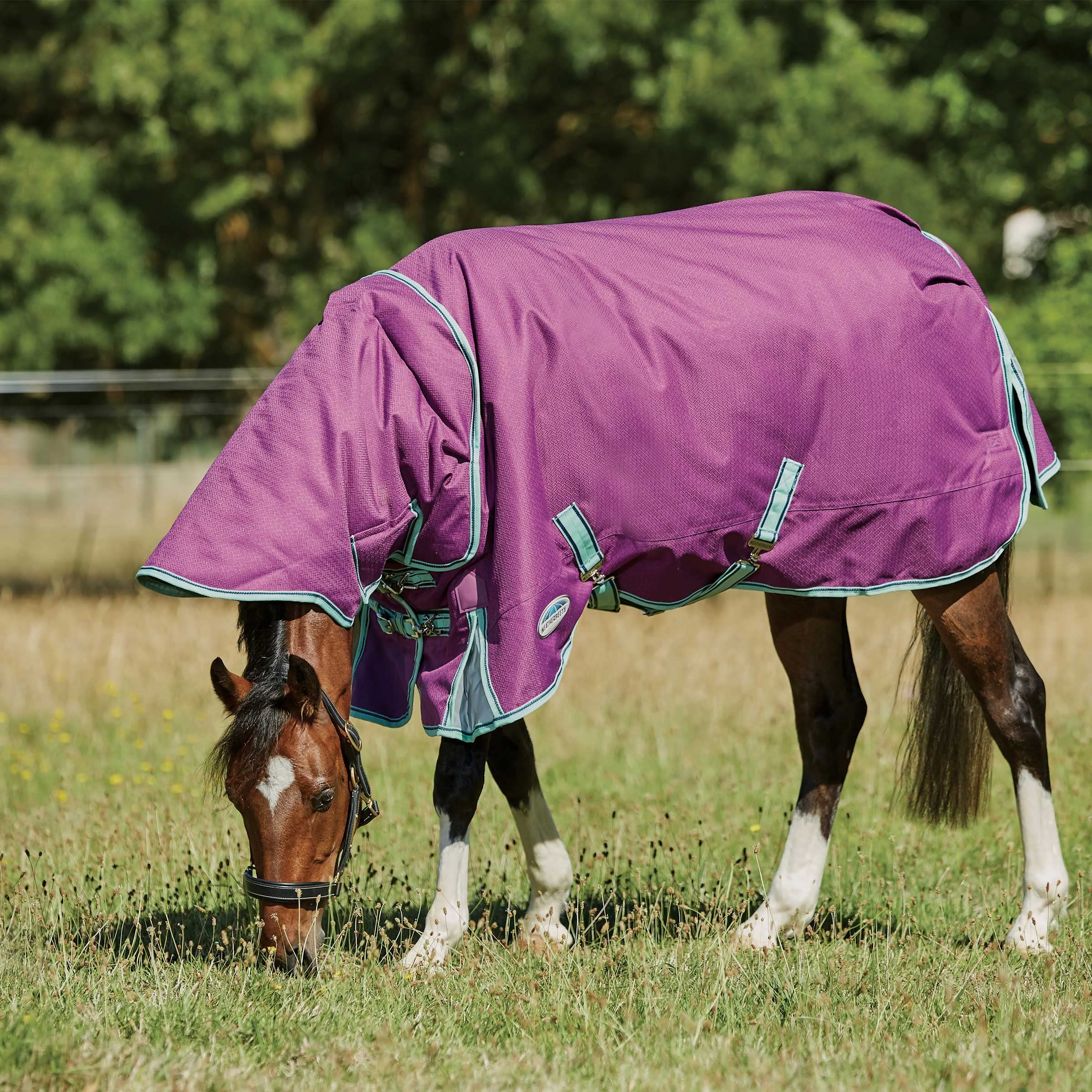 WeatherBeeta ComFiTec Premier Freedom Pony Detach-A-Neck Medium Horse Blanket, Purple/Navy/Mint, 63"