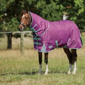 WeatherBeeta ComFiTec Premier Freedom Pony Detach-A-Neck Lite Horse Blanket, Purple/Navy/Mint, 60"