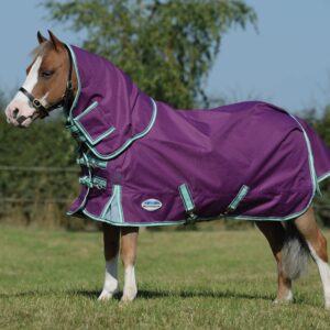 WeatherBeeta ComFiTec Premier Freedom Pony Detach-A-Neck Lite Horse Blanket, Purple/Navy/Mint, 60"