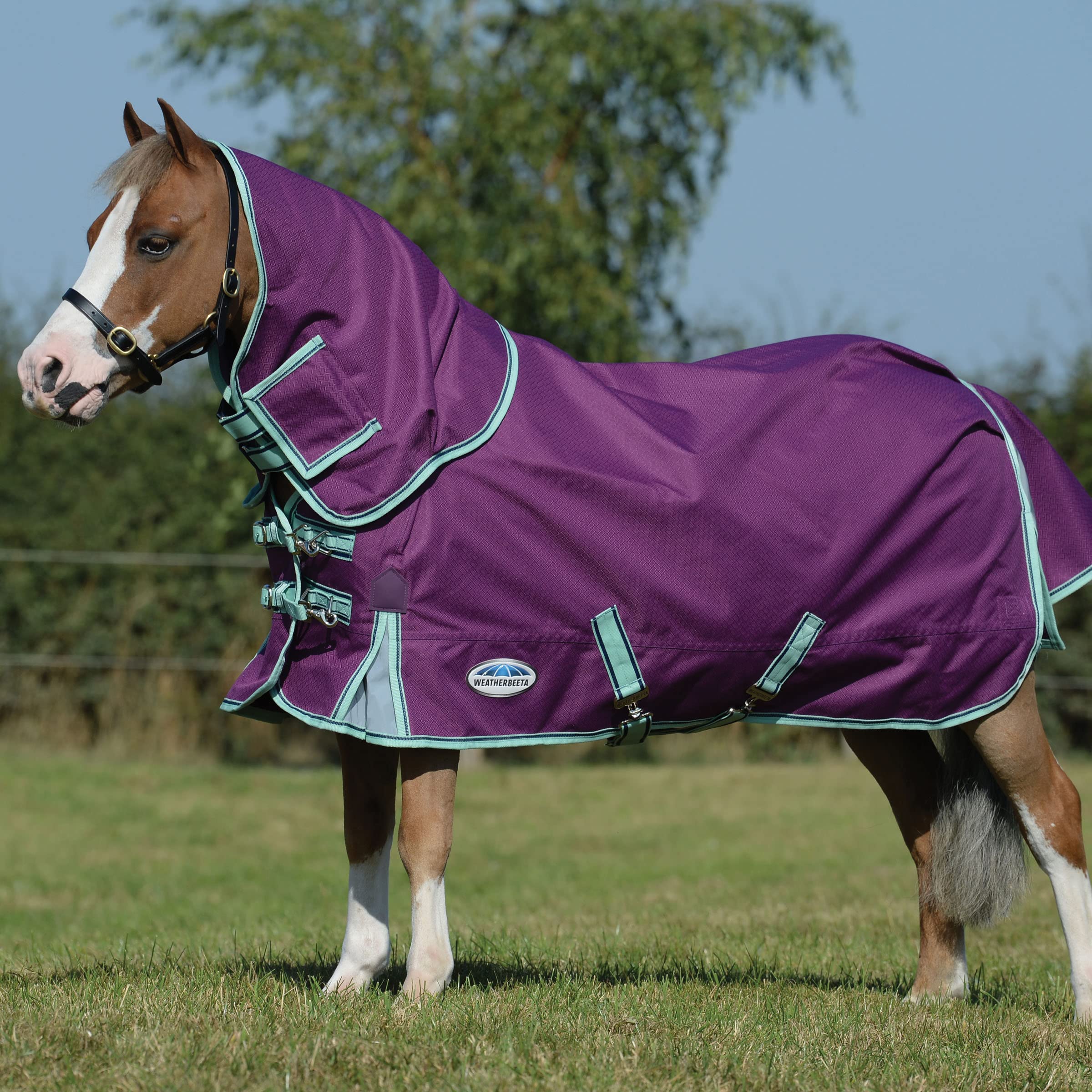 WeatherBeeta ComFiTec Premier Freedom Pony Detach-A-Neck Lite Horse Blanket, Purple/Navy/Mint, 60"