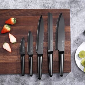 PAUDIN Knives Set, 5 Piece Professional Chefs Knife Set, Stainless Steel Kitchen Knives Include Chef Bread Carving Utility Paring Knife Boxed Knife Sets Hollow Handle German Steel