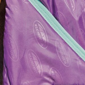 WeatherBeeta ComFiTec Premier Freedom Pony Detach-A-Neck Lite Horse Blanket, Purple/Navy/Mint, 60"