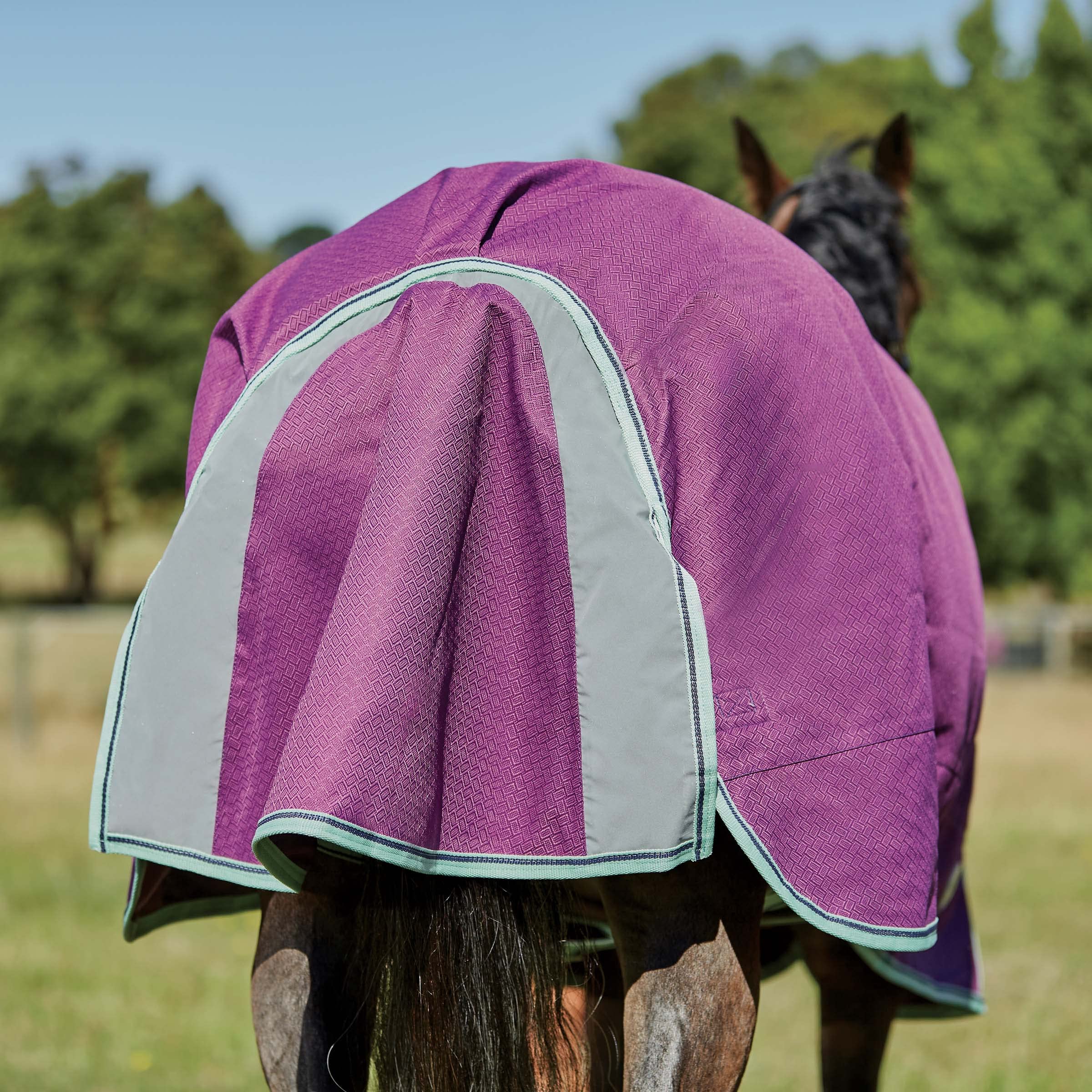 WeatherBeeta ComFiTec Premier Freedom Pony Detach-A-Neck Medium Horse Blanket, Purple/Navy/Mint, 63"