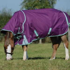 WeatherBeeta ComFiTec Premier Freedom Pony Detach-A-Neck Medium Horse Blanket, Purple/Navy/Mint, 63"