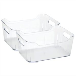 simplify 2 pack medium, super clear storage tote bin