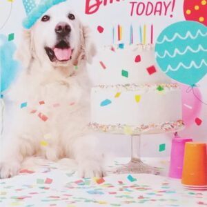 Greeting Card Go Full-On Birthday Today with Golden Labrador Retriever Dog