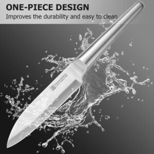 PAUDIN Kitchen Knife, High Carbon German Stainless Steel Chef Knives, Super Sharp Chef's Knife with Ergonomic Hollow Handle (Silver 5 inch)