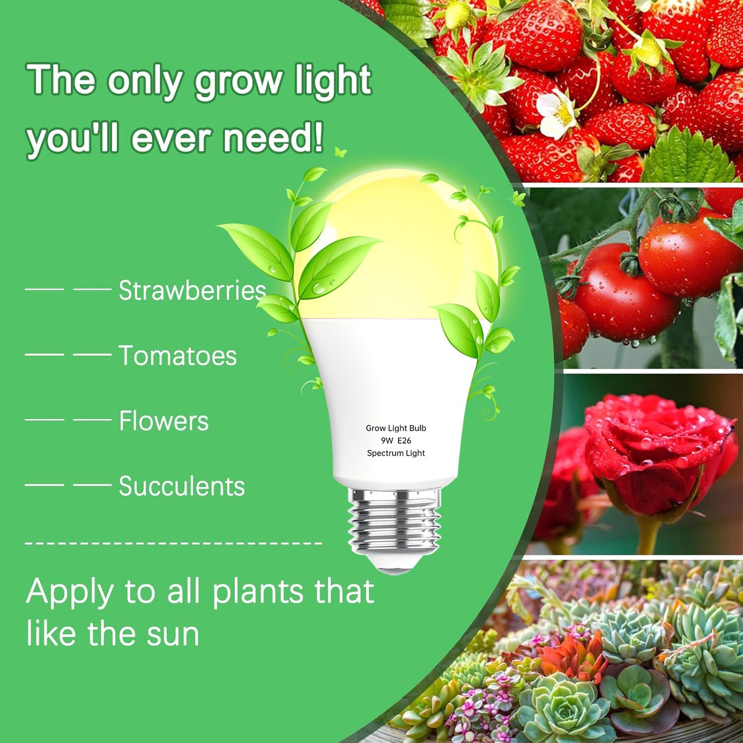 Wiyifada 6 Pack Full Spectrum Grow Light Bulbs,A19 Grow Lights for Indoor Plants,Dimmable E26 9W Grow Bulb Replace up to 100W,Plant Lights for Indoor Growing,Flowers,Indoor Greenhouse,Indore