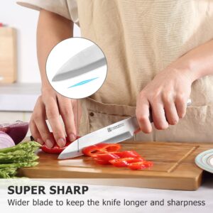 PAUDIN Kitchen Knife, High Carbon German Stainless Steel Chef Knives, Super Sharp Chef's Knife with Ergonomic Hollow Handle (Silver 5 inch)